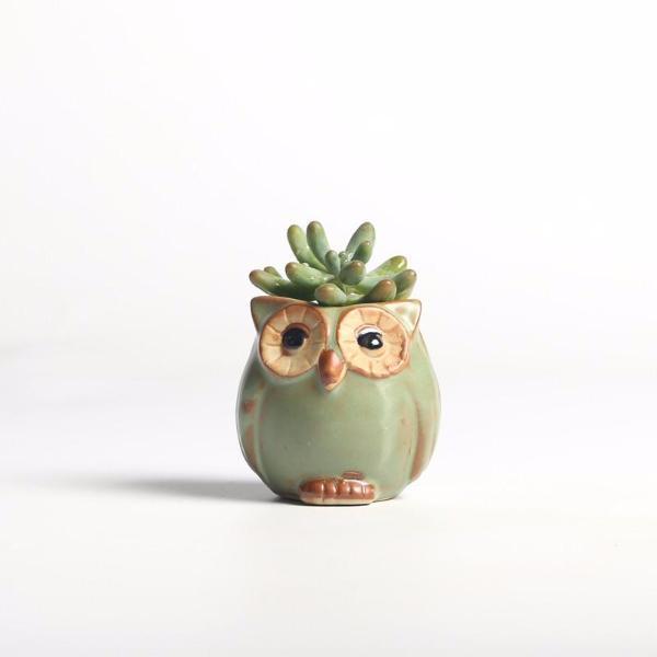 Skanto | Owl Ceramic Flower Pot Set 5-Piece