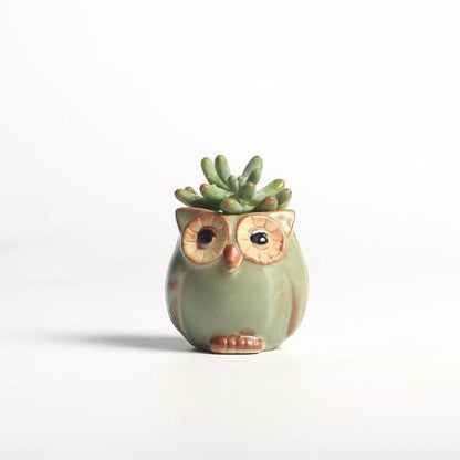Skanto | Owl Ceramic Flower Pot Set 5-Piece