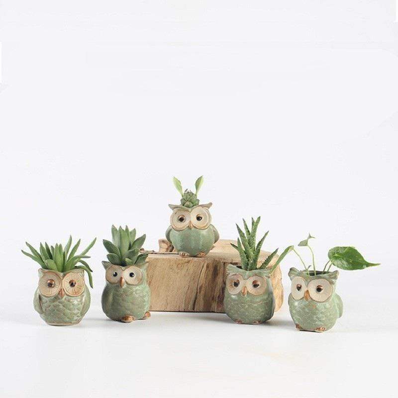 Skanto | Owl Ceramic Flower Pot Set 5-Piece