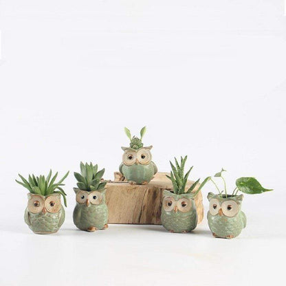 Skanto | Owl Ceramic Flower Pot Set 5-Piece