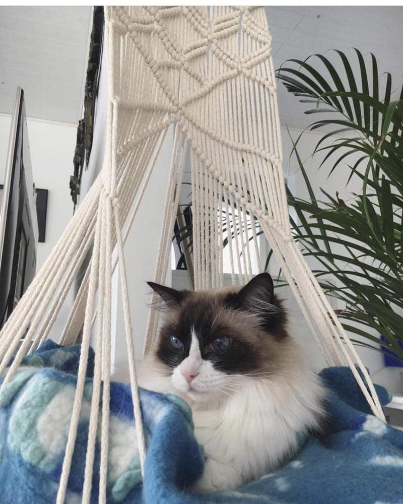 Brehn | Macrame Wall-hanging Cat bed