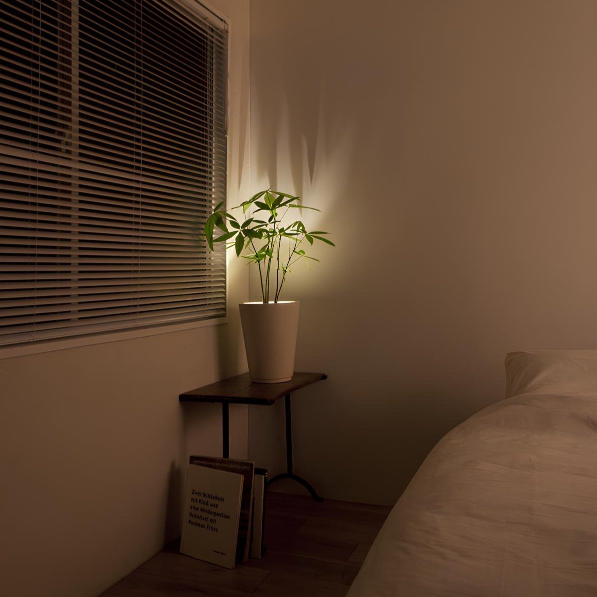 Brehn | Wireless LED Spotlight - LumaSpot