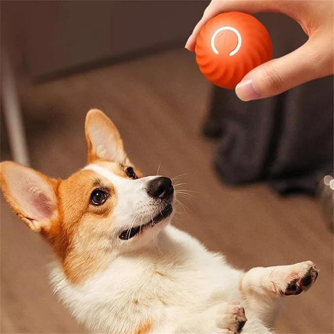 Skanto | Interactive Rechargeable Bouncing Ball Toy for Dogs
