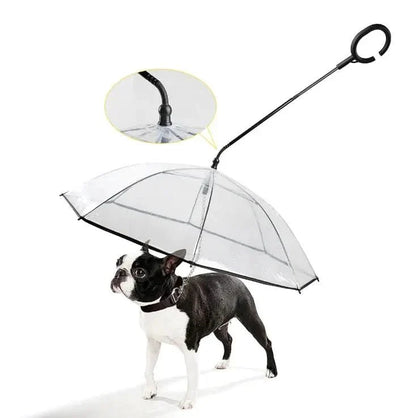 BowLift | Transparent umbrella for dogs